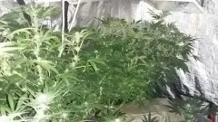 20160701 080055
