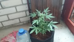 20160701 075837