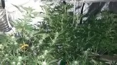 20160701 080106