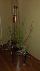 IMAG0006[1]