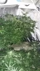 20160701 080051