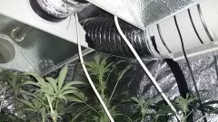 20160701 080421