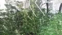 20160701 080243