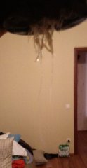 IMAG0053