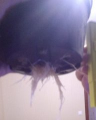 IMAG0055