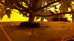 20151110 055401