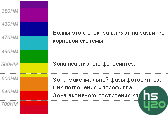 Альбом без названия