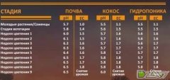 Изображениетф 032
