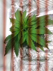 2015 05 15 06.47.19