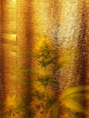 20150415 165232