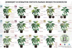 Табличка дефеков и передозов