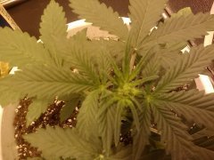 IMG 20150430 185410