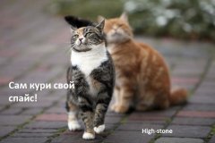 конкурс2