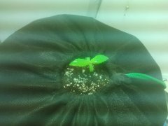 2016 09 12 14.52.46