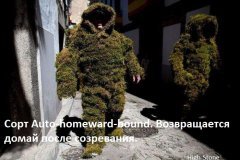 Конкурс