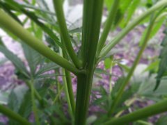 20150602084112