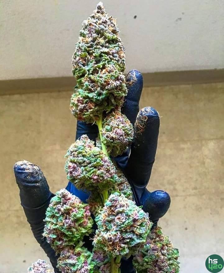 Позитив