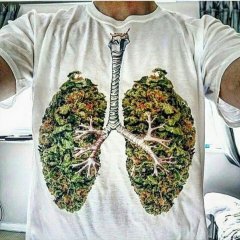 интересная футболка