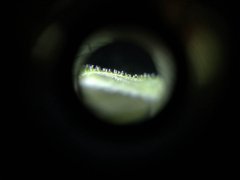 macro 8