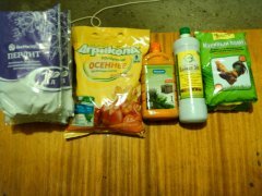 IMG 20151004 210730