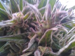 IMG 20151013 161244