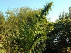 IMG 20150925 153355