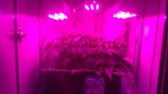 самодельный LED