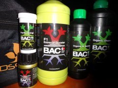 bac