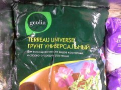 photo 2015 11 03 23 24 31
