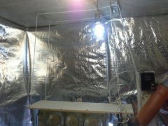 photo 2015 11 03 23 25 52