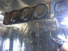 photo 2015 11 03 23 25 37