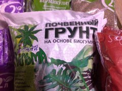 photo 2015 11 03 23 24 16