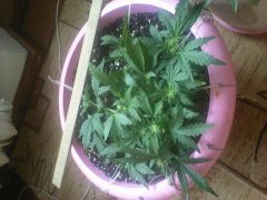 IMG 20151123 130013