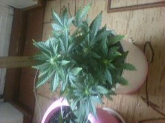 IMG 20151123 125943