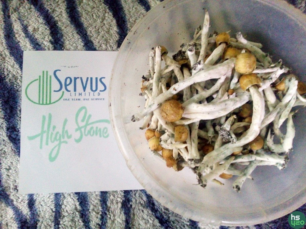 Servus Mush_2016