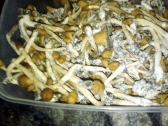 cubb (3)