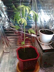 Photo0039