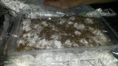 20160101 184528