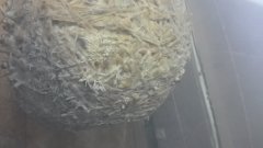 20160215 194021