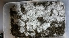 20160108 130701