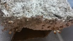 20160110 120659