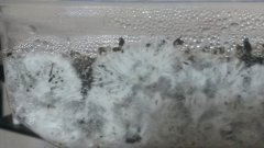 20160101 184624