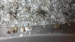 20160110 120606