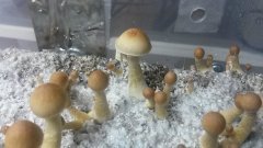 20160116 174038
