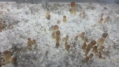 20160115 193629