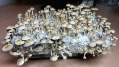 20160112 192612