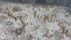 20160115 193636
