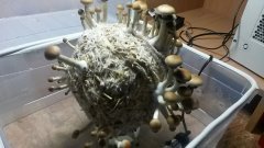 20160218 163741