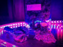 Northern Light AMS