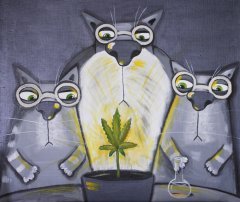 Учёные коты ботаники
